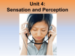 Unit 4: Sensation and Perception