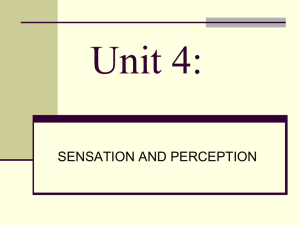 Unit 4 Sensation & Perception