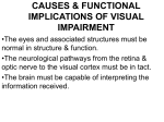 CAUSES & FUNCTIONAL IMPLICATIONS OF VISUAL IMPAIRMENT