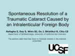 Spontaneous Resolution of a Traumatic Cataract Caused by