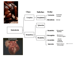 lecture_22_Mar_05_filarial worms