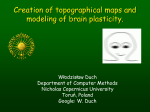 Creation of topographical maps and modeling of brain plasticity.