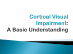 Cortical Vision Impairment: A Basic Understanding