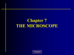 The Compound Microscope