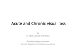 - Acute and Chronic visual loss (1 hour) DR. SHEHAH