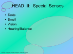 HeadNeck III Special Senses2