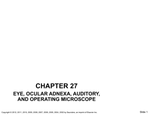 chapter 27 eye, ocular adnexa, auditory, and operating