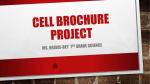 Cell Brochure Project - delaniereavis-bey