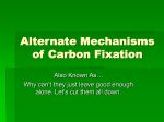 Alternate Modes of Photosynthesis