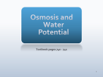 Water Potential Notes