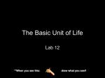 Basic Unit of Life Lab PowerPoint