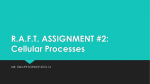 R.A.F.T. ASSIGNMENT