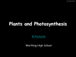 Plants and Photosynthesis - Prairie Rose School Division No. 8