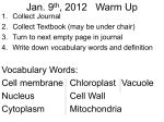 Jan. 9th, 2012 Warm Up
