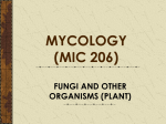 INTRODUCTION TO MYCOLOGY