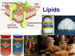 Lipids: Fats & Oils - Hutchinson Science