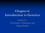Chapter 6: Introduction to Genetics