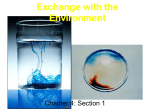 Exchange with the Environment