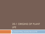 20.1 Origins of plant life