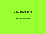 Cell Transport - Independent School District 196