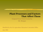 Plant Processes and Factors That Affect Them