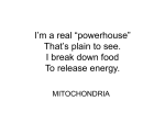 I`m a real “powerhouse” That`s plain to see. I break down food To