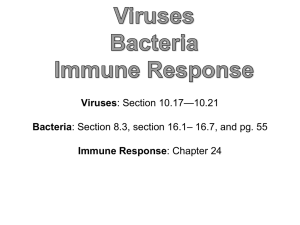 Viruses - Madeira City Schools