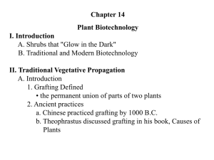 VI. Genetic Engineering or Recombinant DNA Technology