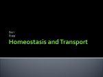 Homeostasis and Transport