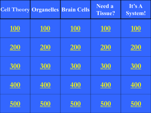 Cell Theory Organelles Brain Cells Need a Tissue?