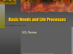 Basic Needs and Life Processes SOL Review TP
