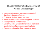 Biotechnology and Genetic Engineering