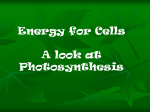 Energy for Cells A look at Photosynthesis