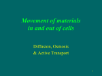 Movement of materials in and out of cells