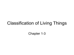 Classification of Living Things