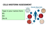 Cells Assessment