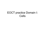EOCT practice Domain I: Cells