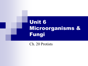 Unit 6 Microorganisms & Fungi