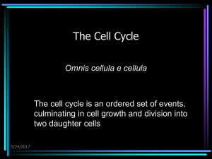 21 Cell Division