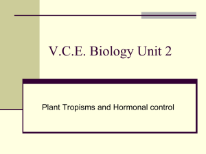 Chp 14 Plant tropisms - AdventuresinScienceEducation