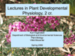 Embryo development Lecture 3