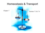 Homeostasis & Transport