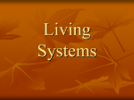 Living Systems - Alvey Elementary School