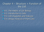 Chapter 4 – Structure + Function of the Cell
