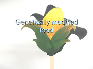 Genetically modified food