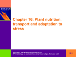 Chapter 16 Plant nutrition, transport and adaptation to stress