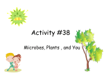 Activity 38