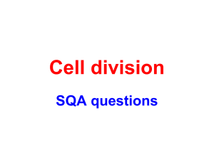 Cell division - MrMcKennaBiologyPage