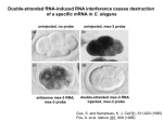 Recovery and analysis of old/ancient DNA: molecular archaeology