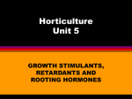 Horticulture Unit 5